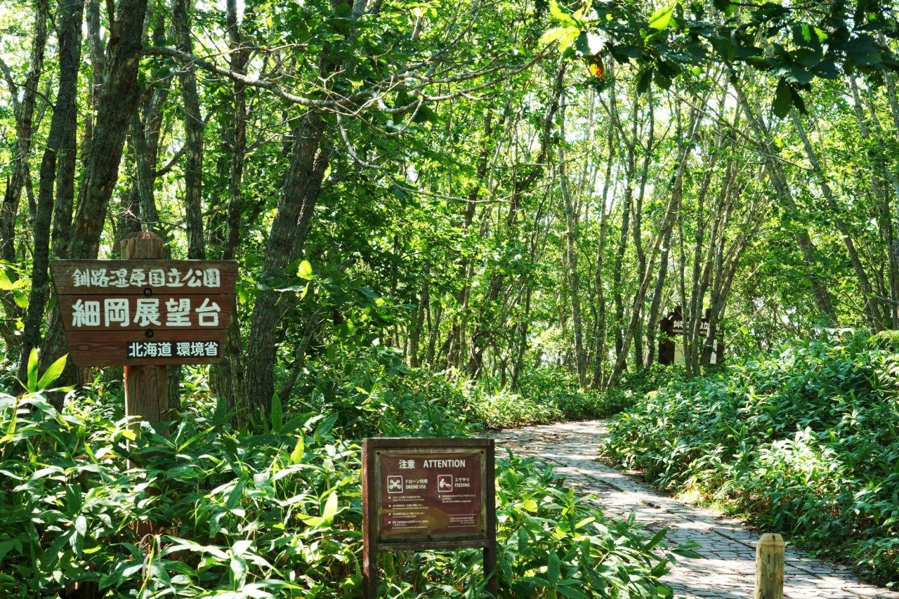 🏞️ 호소오카 전망대 이미지 8